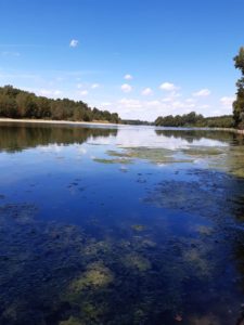 Bord de la Garonne sous un ciel bleu.
La liberté et la douceur du Touch For Health mises en cliché par Françoise de La Roche